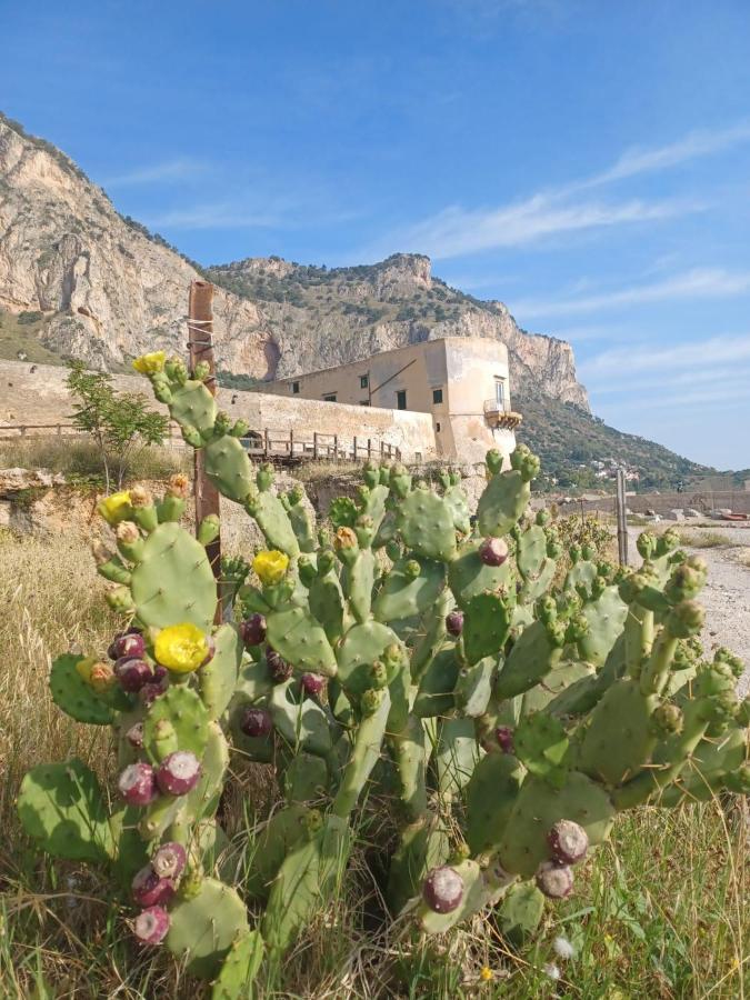 Giorgisa Daire Palermo Dış mekan fotoğraf